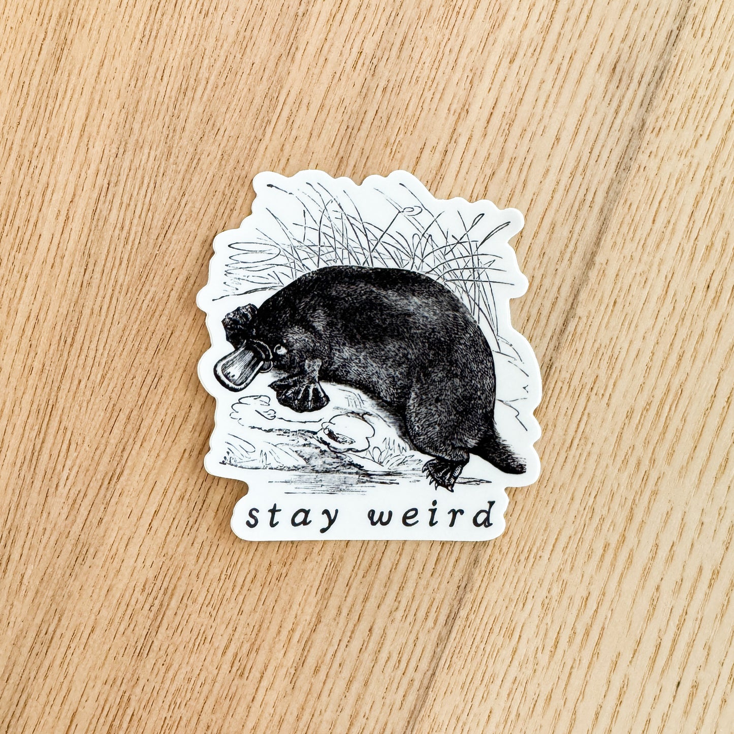 Stay Weird Vinyl Sticker