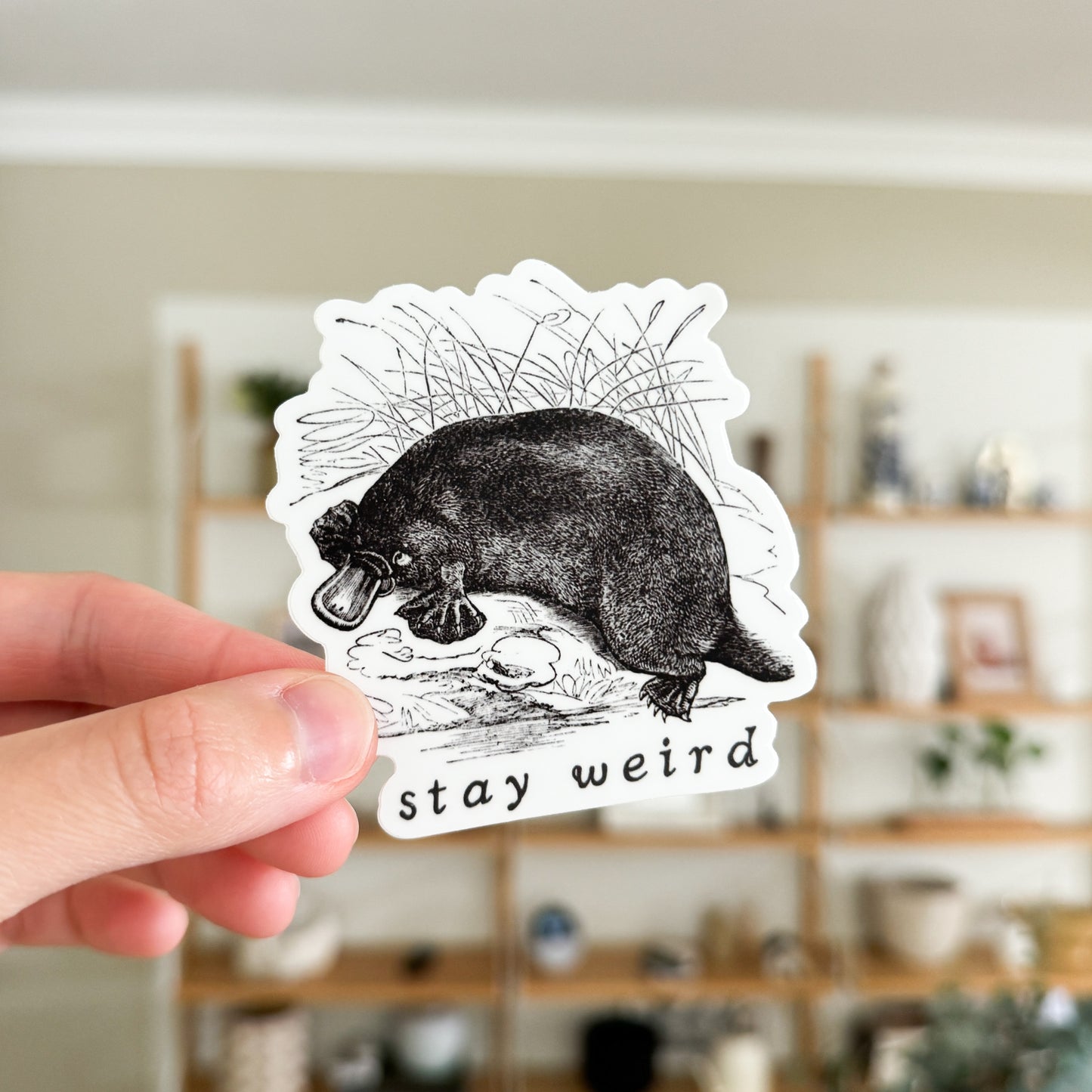 Stay Weird Vinyl Sticker