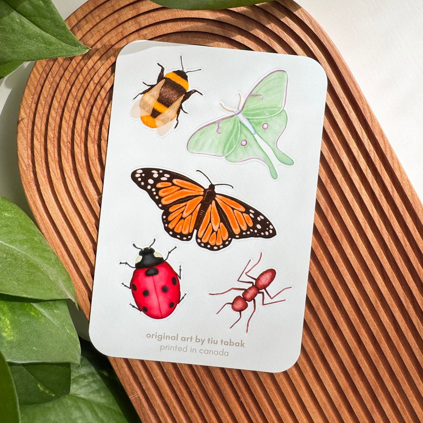 Bugs 4x6 Vinyl Sticker Sheet