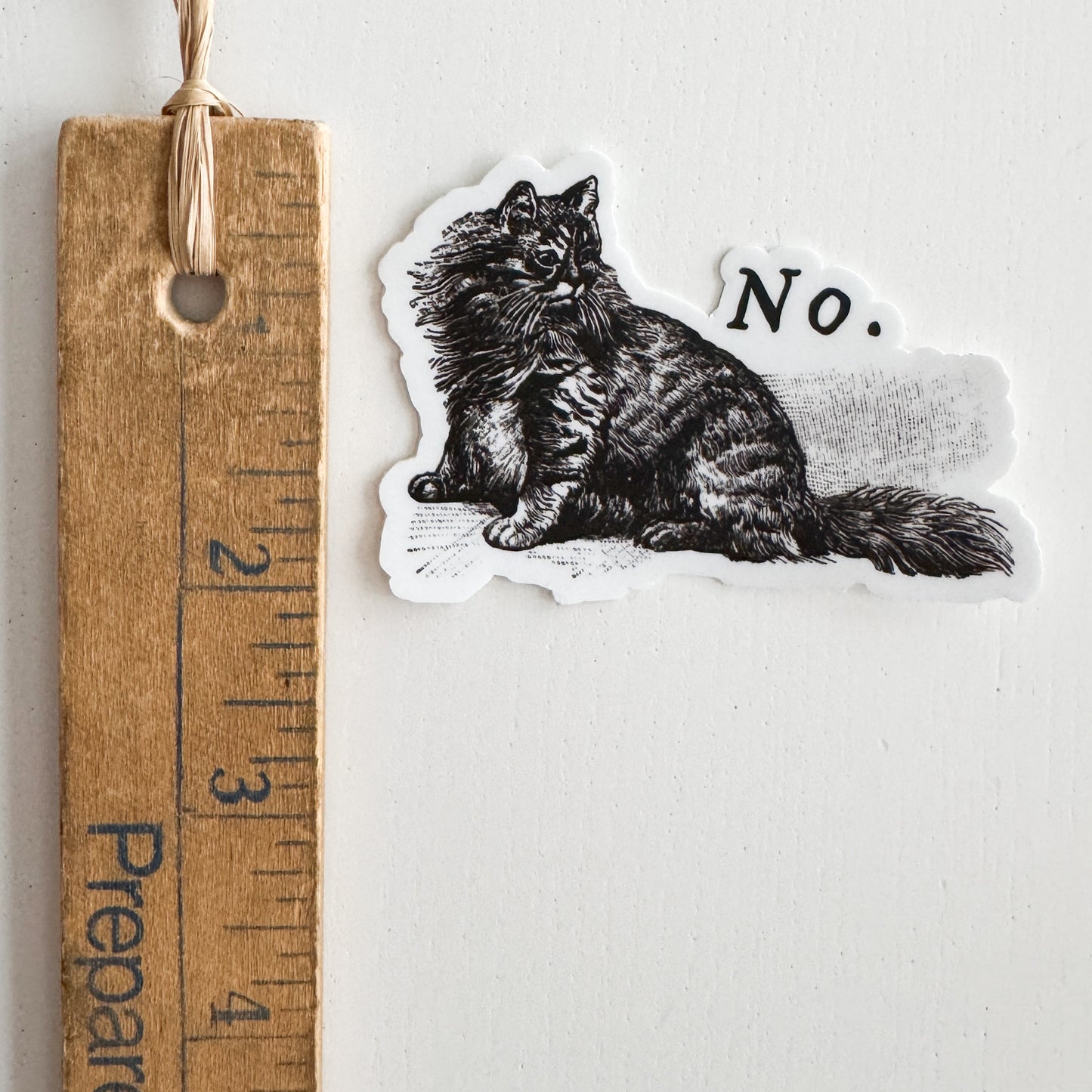 No Cat Vinyl Sticker