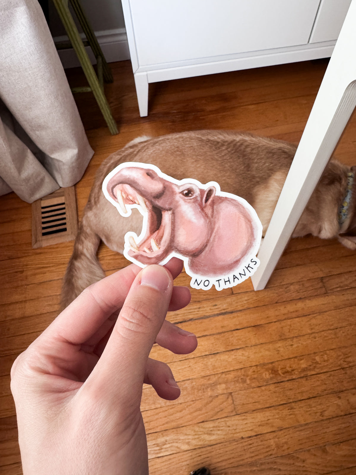 No Thanks Grumpy Hippo Sticker