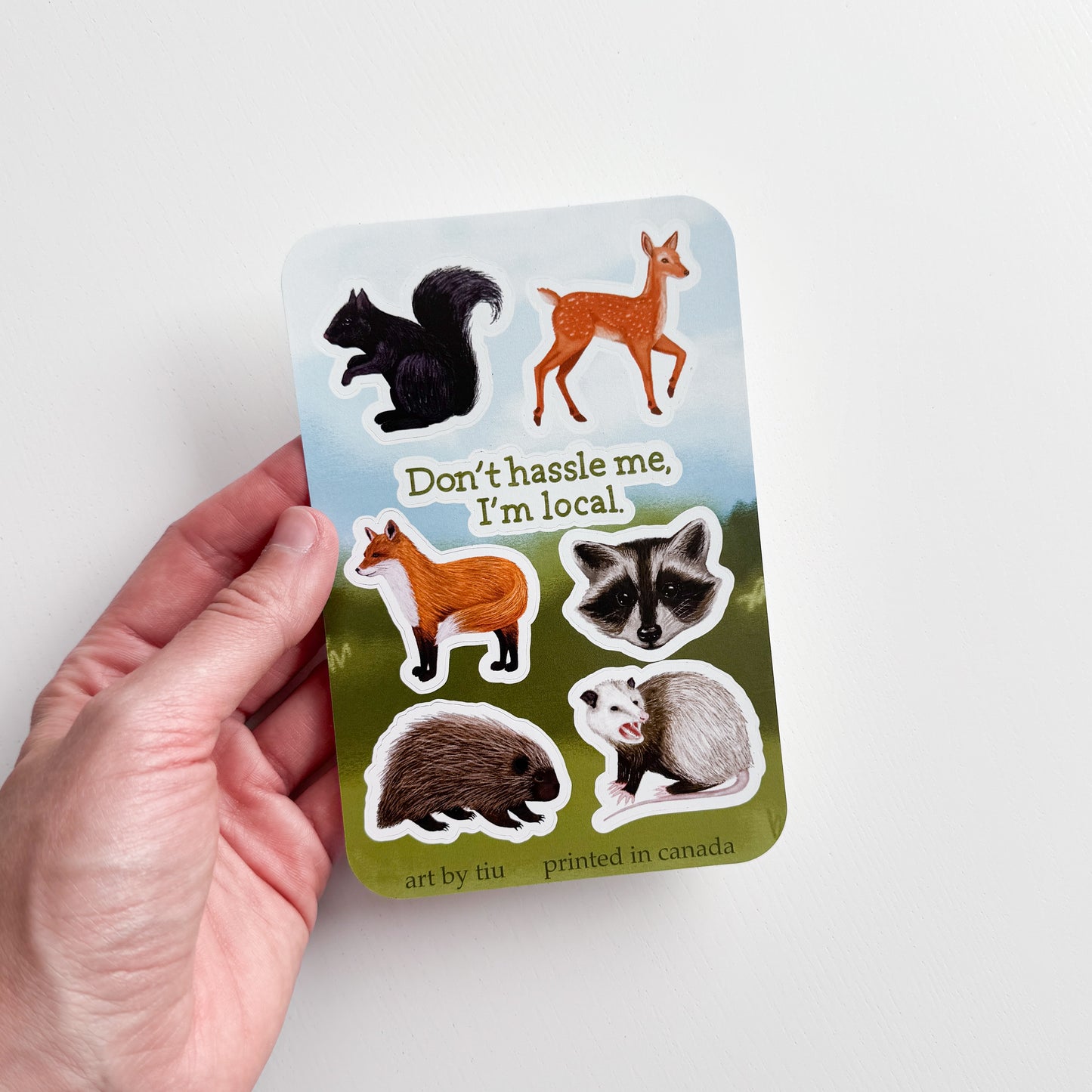 Local Wildlife 4x6 Vinyl Sticker Sheet