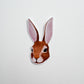 Cottontail Rabbit Sticker