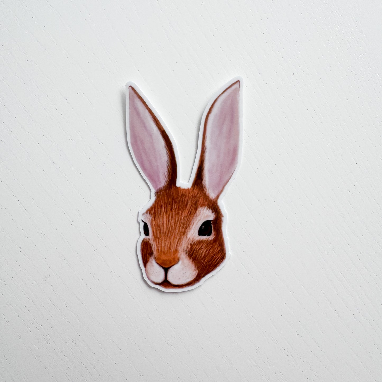 Cotton Tail Rabbit Sticker