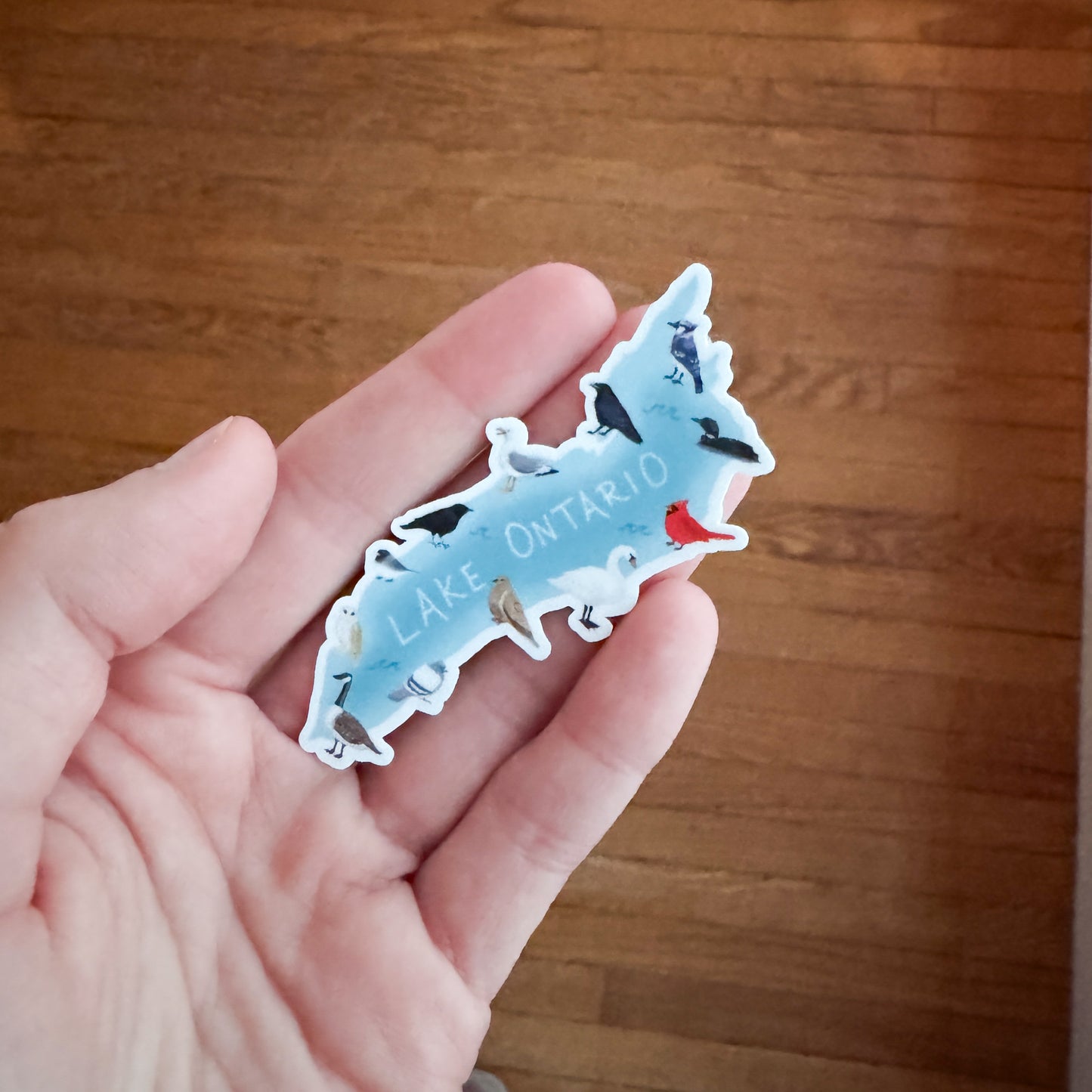 Birds of Lake Ontario Sticker