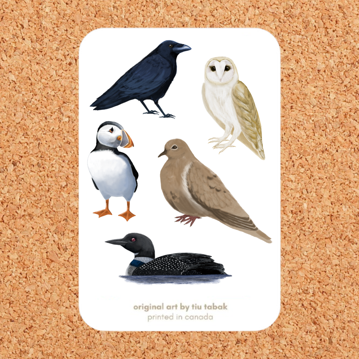 Canadian Birds (Option One) 4x6 Vinyl Sticker Sheet