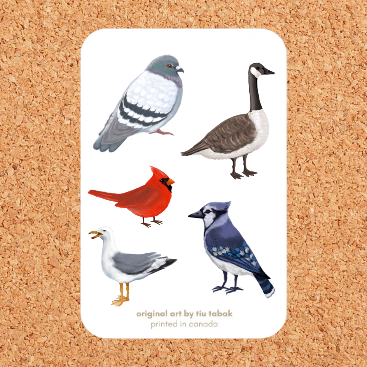 Canadian Birds (Option Two) 4x6 Vinyl Sticker Sheet