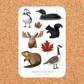 Canada Wildlife 4x6 Vinyl Sticker Sheet