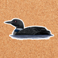 Loon Sticker