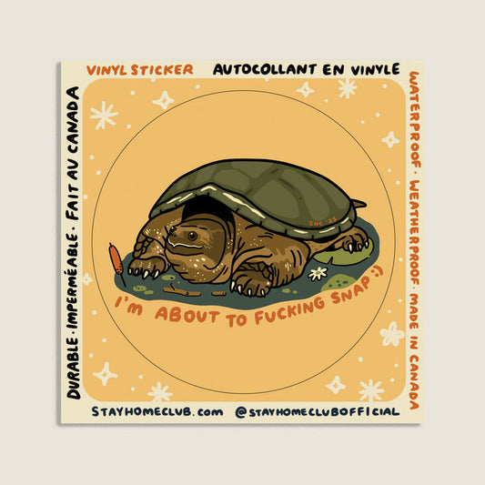 Vinyl sticker with turtle design and text on a beige background