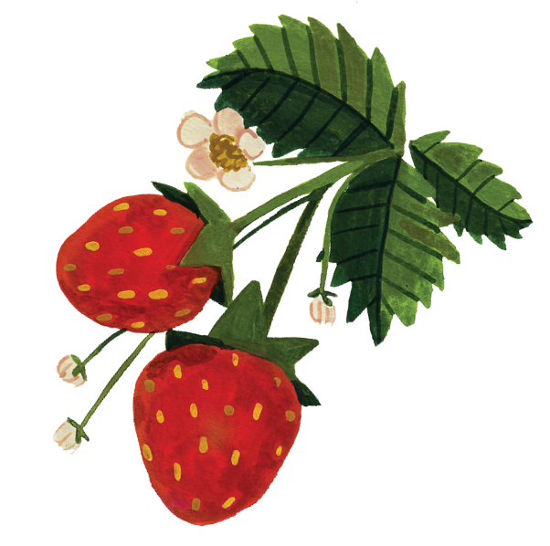 Strawberries Vinyl Sticker