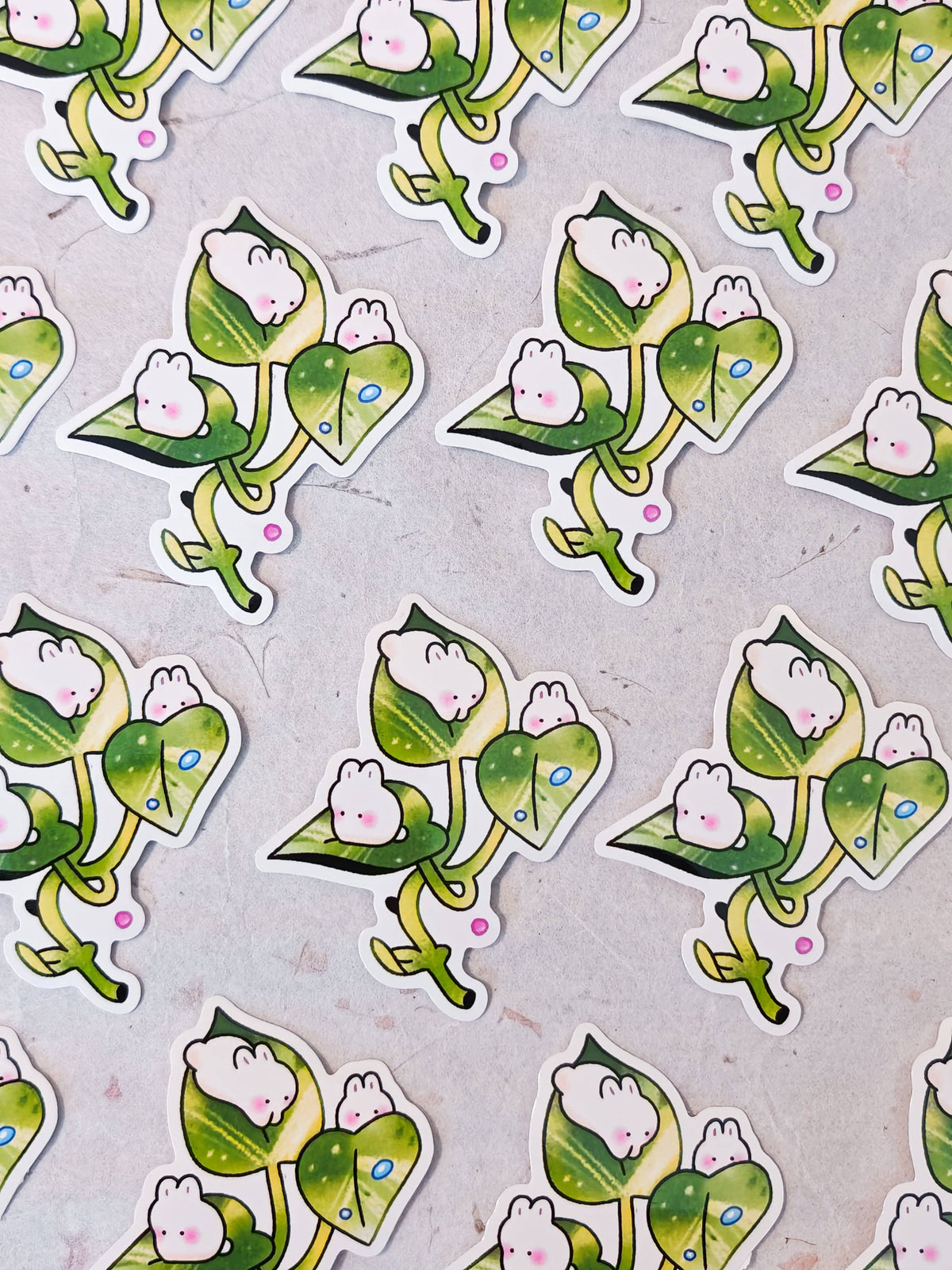 Glossy Variegated Bunny Pathos Sticker – Kinsfolk Shop