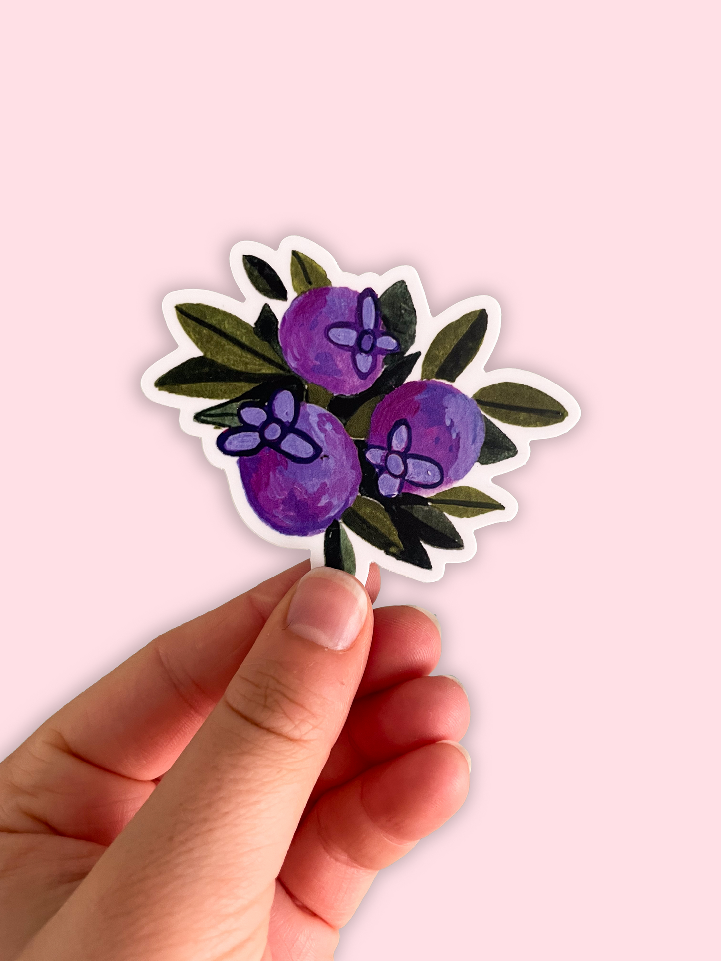Blueberries Sticker