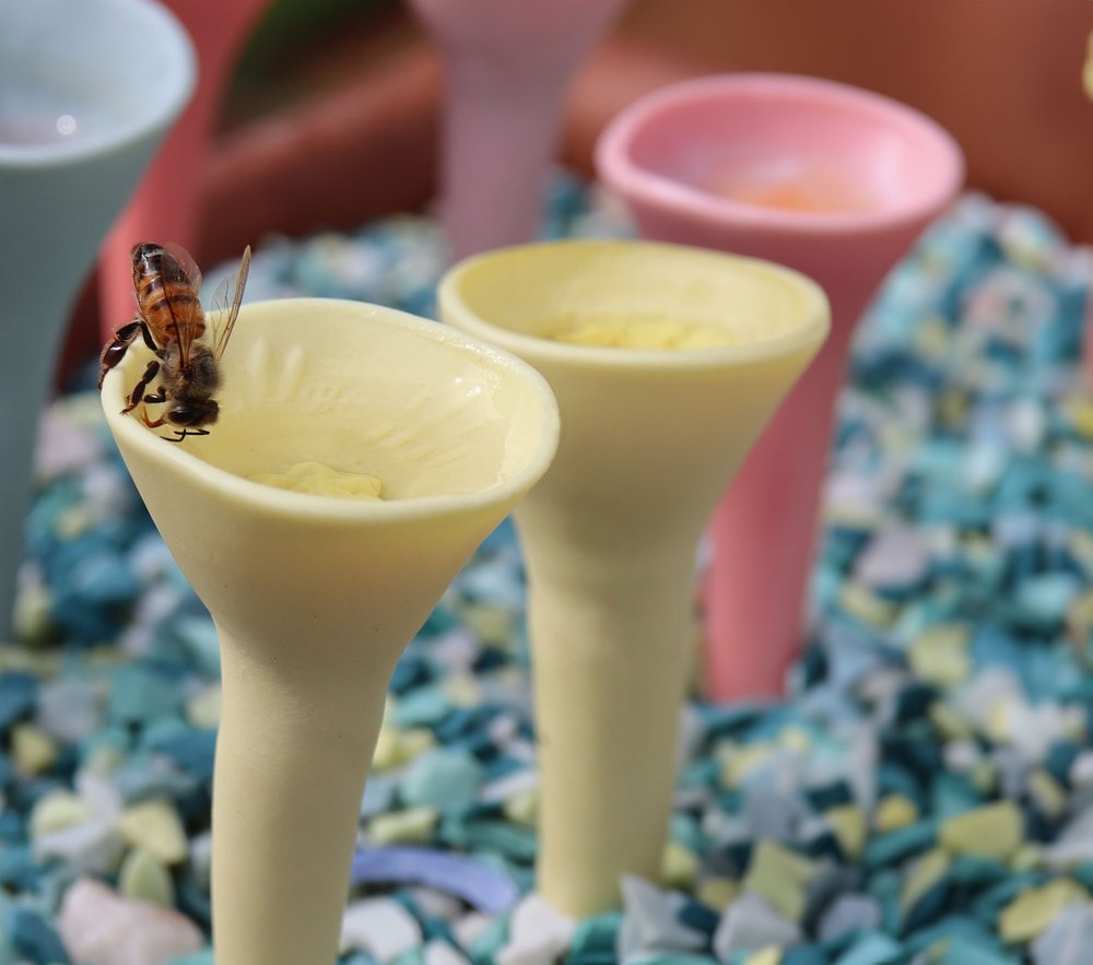 Bee Cups (With NEW Bee Vision Glaze)