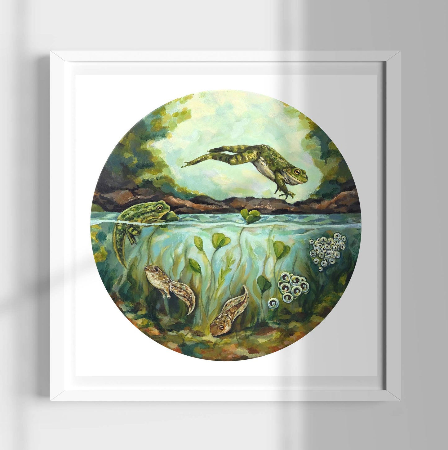 Frog Life Cycle Art Print - 8x8