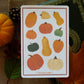 Pumpkins & Squash 4x6 Paper Sticker Sheet