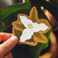 Hand holding a sticker of a white flower with green leaves against a leafy background