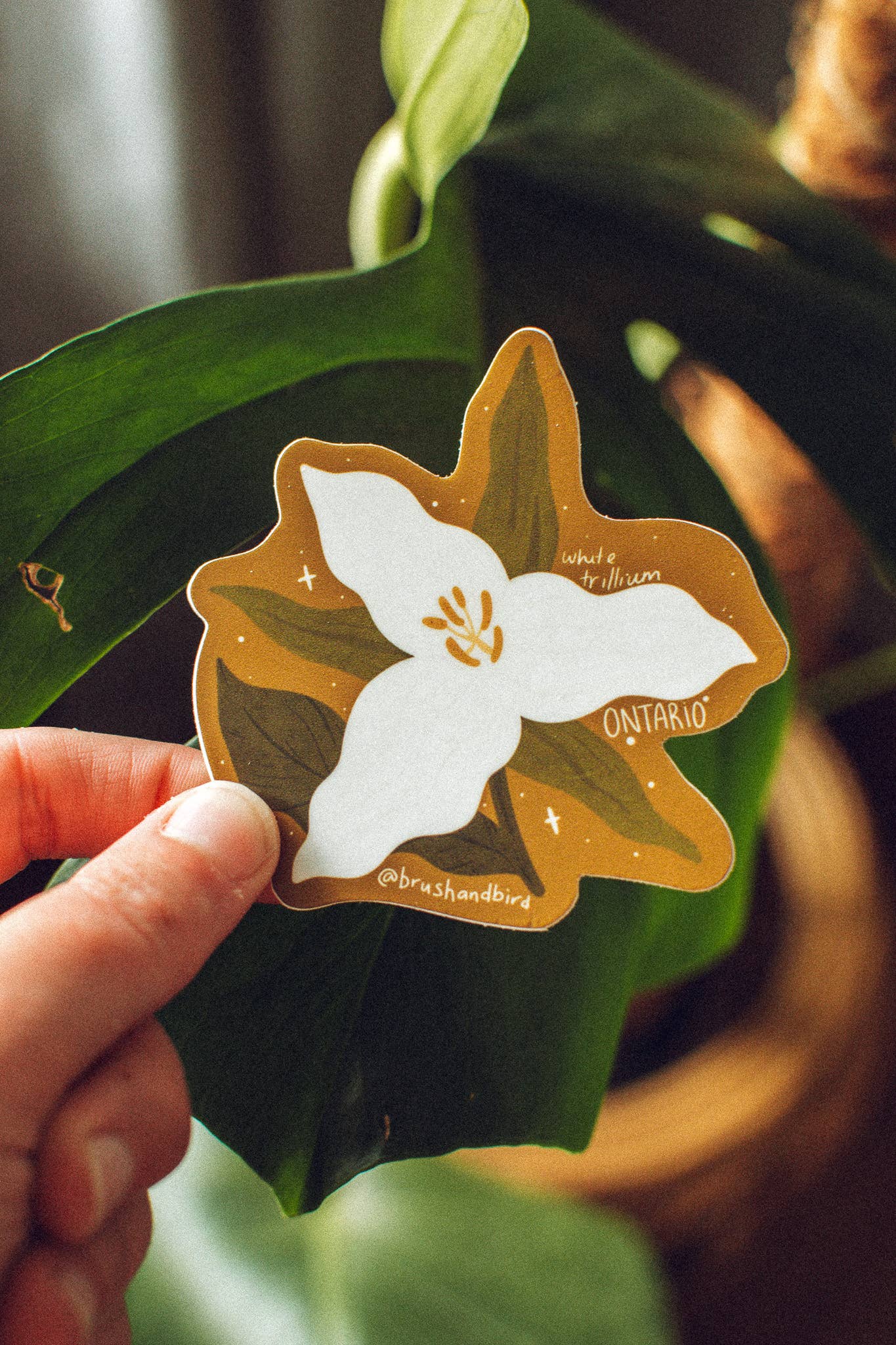 Ontario Trillium Sticker