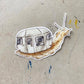 RV Life Snail Sticker