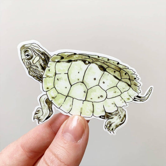 False Map Turtle Vinyl Sticker