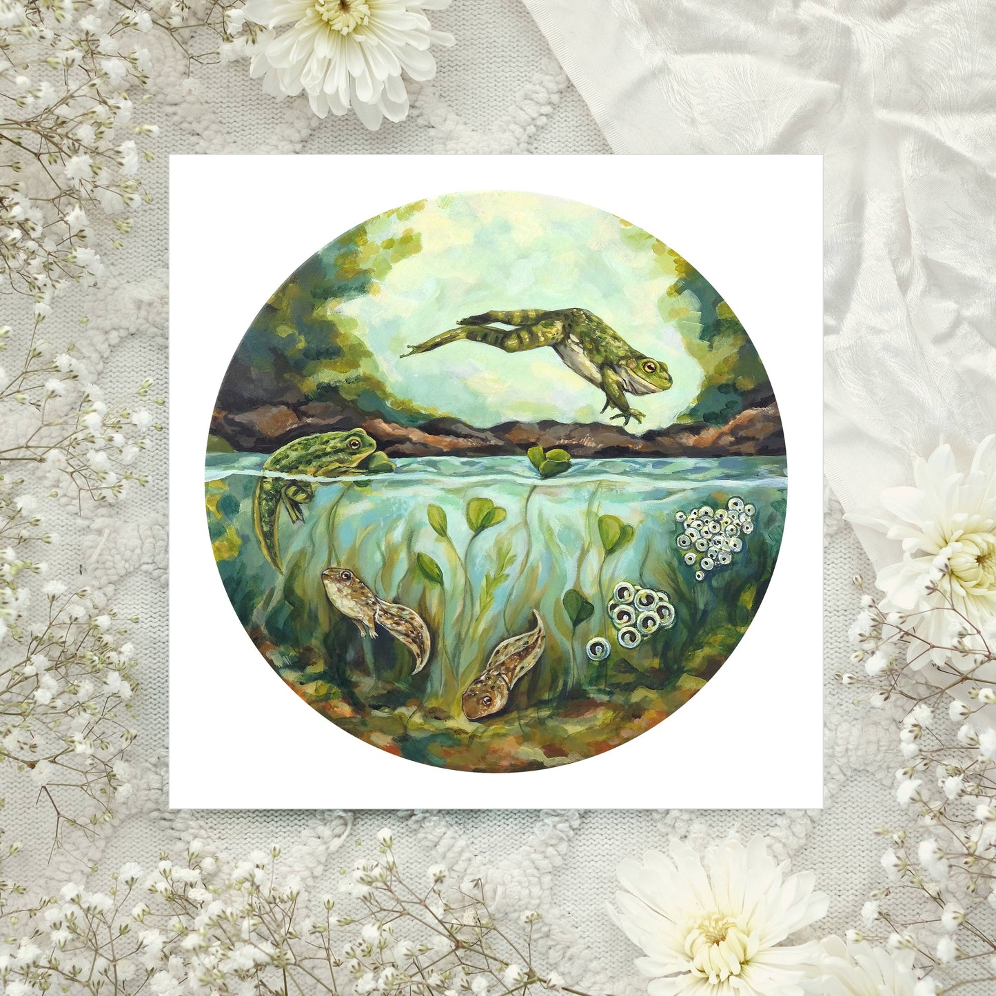 Frog Life Cycle Art Print - 8x8