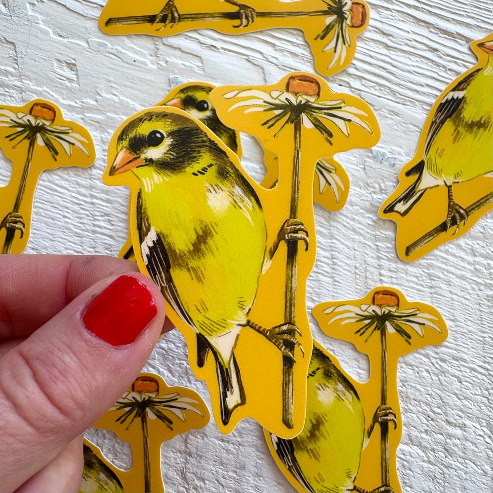 Goldfinch Bird Sticker