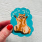 Magic Raccoon Sticker