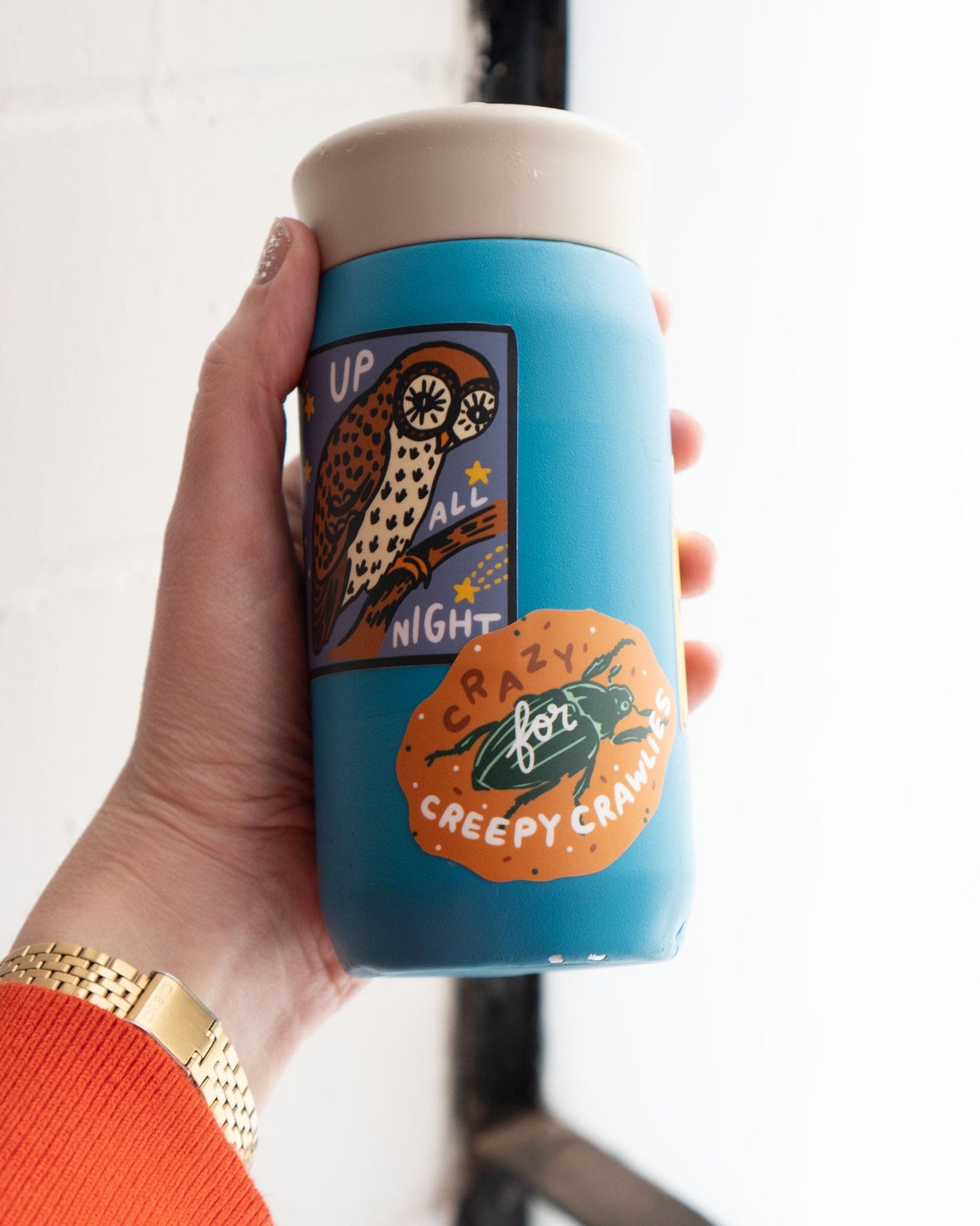 Crazy for Creepy Crawlies Sticker