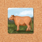 Brown Cow Sticker
