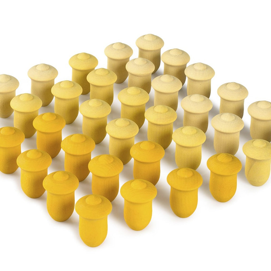 Yellow Wood Tulips- 36 Pieces