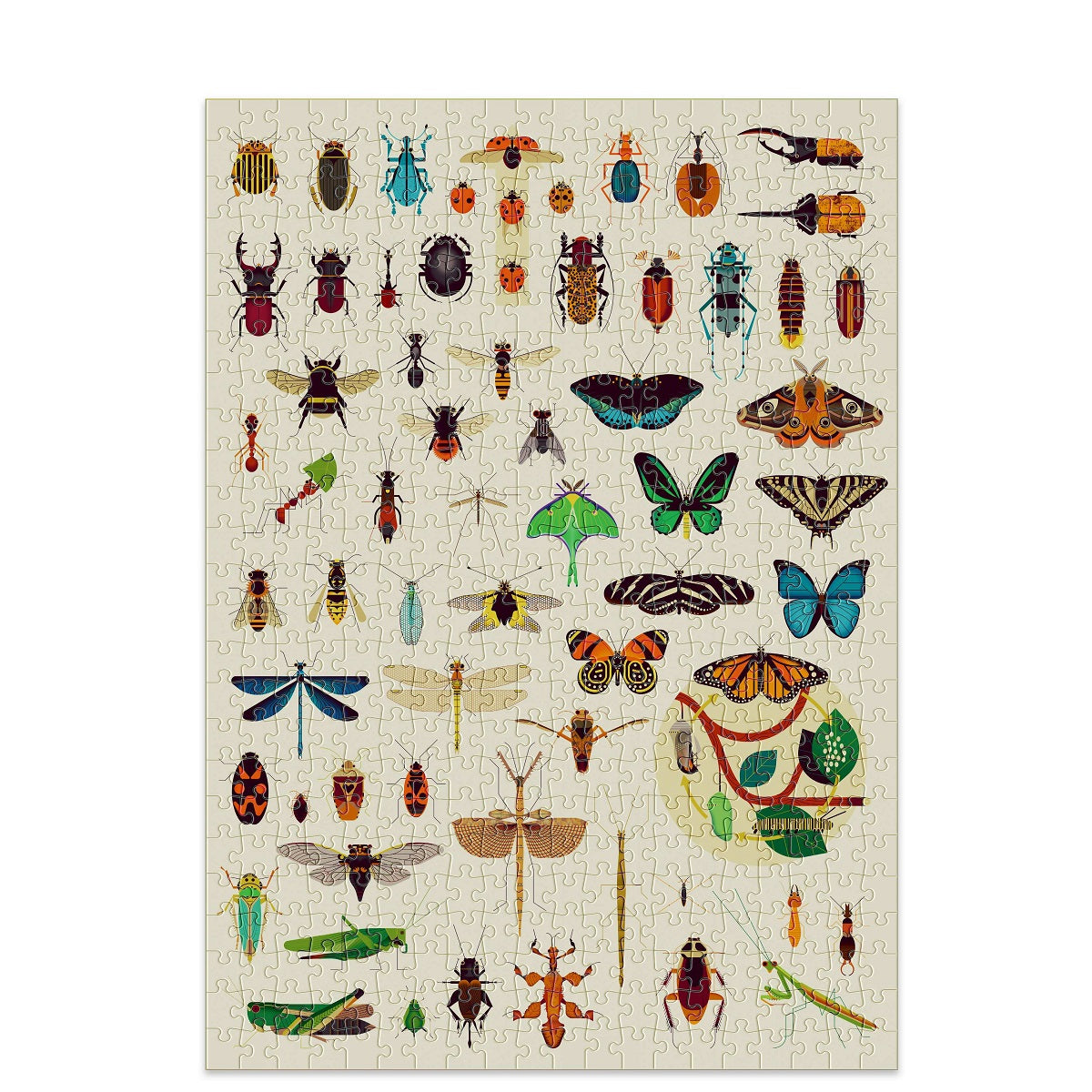 Discovery Puzzle Insects - 500 Pcs