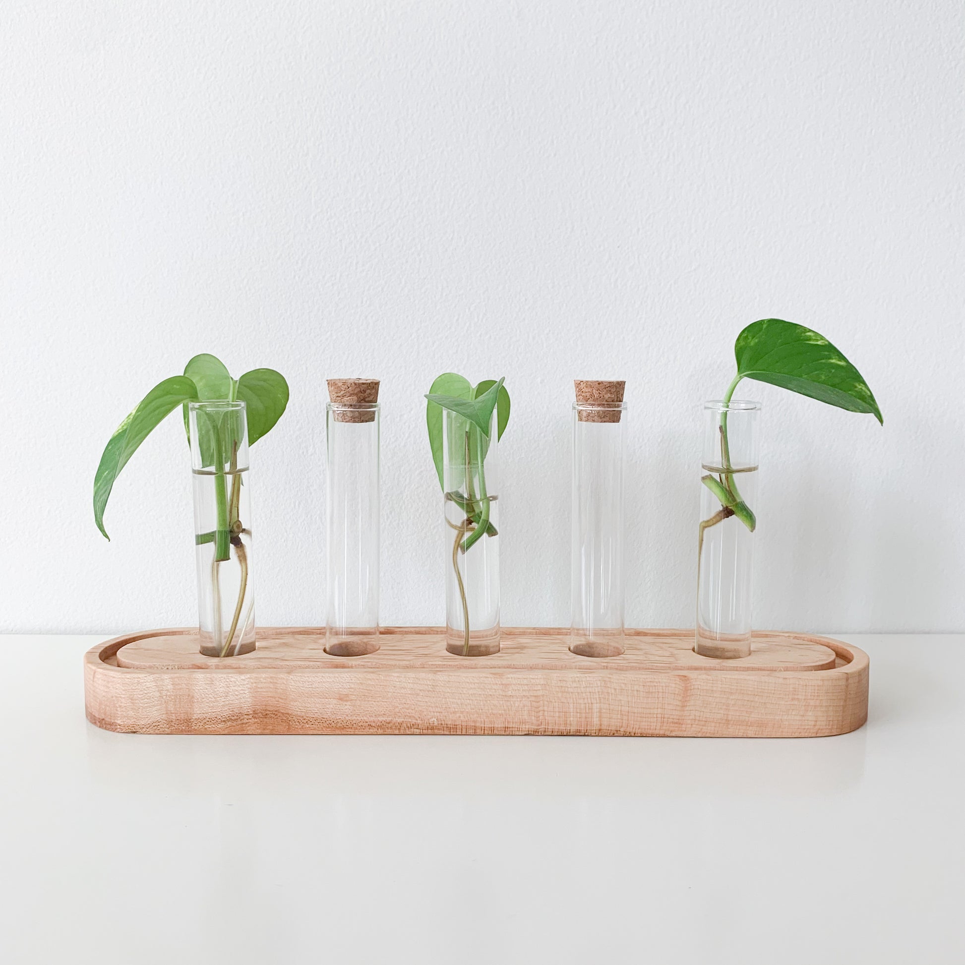 Propagation Stations - 5 Tube - Kinsfolk Shop