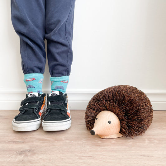 Shoe Cleaning Hedgehog